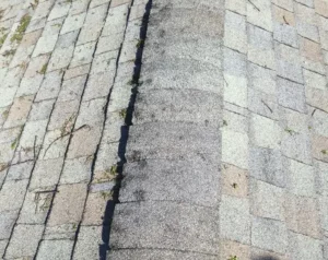 Hail damaged asphalt shingles on a roof.