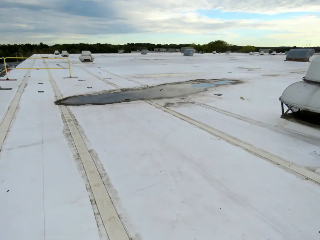 An area of ponding water on a white single-ply membrane roof that has contributed to permanent deck deflection and caused discoloration.