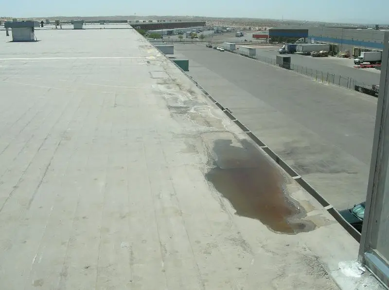 Here poor drainage leads to standing water along the gutter edge of this low-slope roof. 