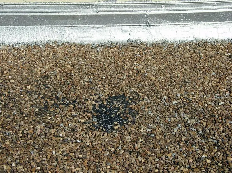 Tell-tale appearance of a roof blister in a built-up roof. Note the loss of gravel surfacing.