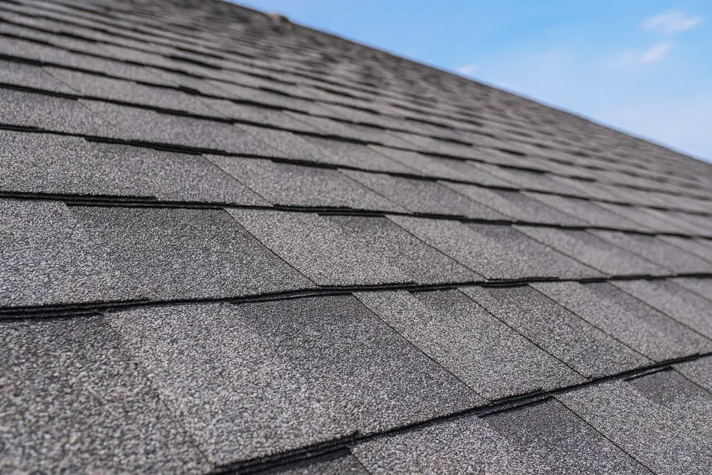 Common architectural asphalt shingles installed on a roof.