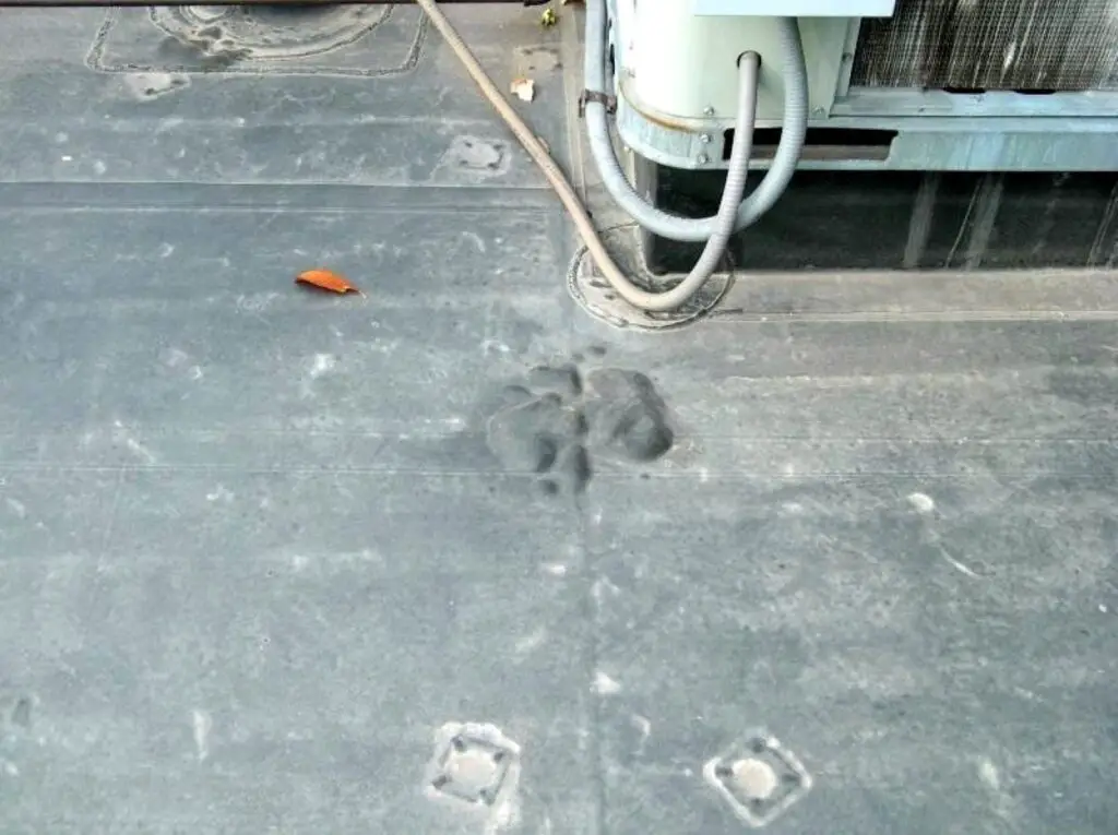 Bubbling in an EPDM roof membrane contaminated by petroleum-based fluid.